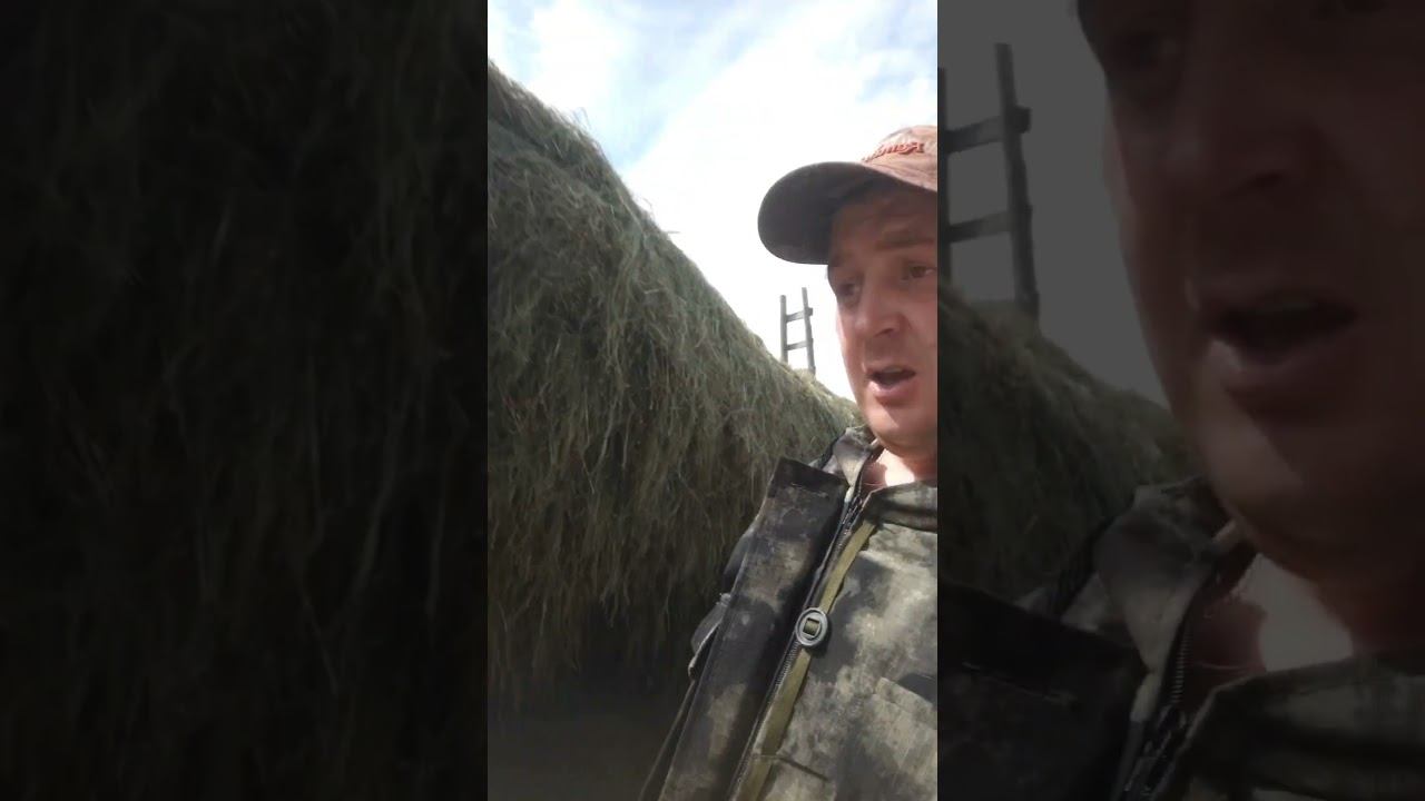 сбор травы смотреть онлайн