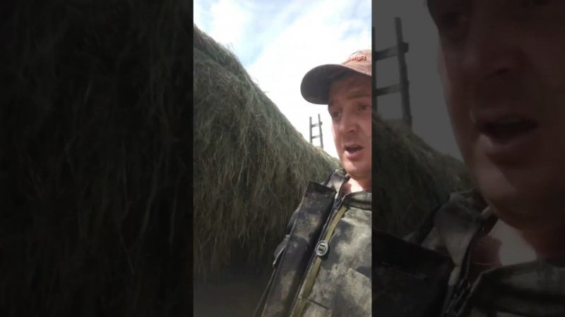 сбор травы