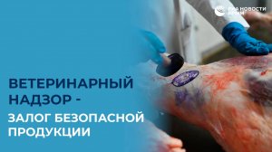 Ветеринарный надзор - залог безопасной продукции