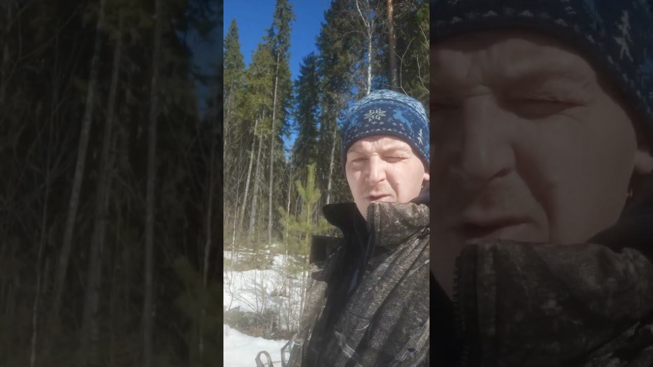 прогулка по лесу смотреть онлайн