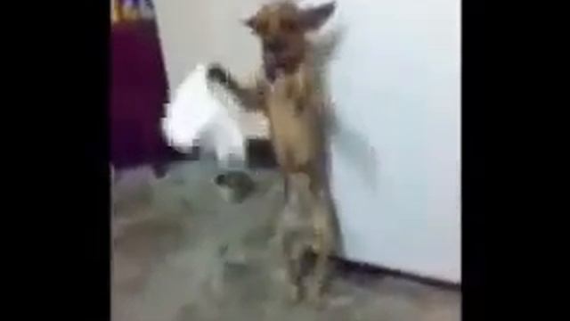 Танц смотреть онлайн