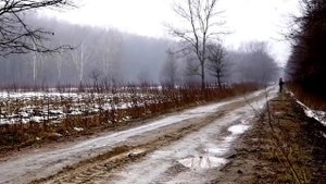 Охота на кабана загоном 🐗🐗🐺🐻