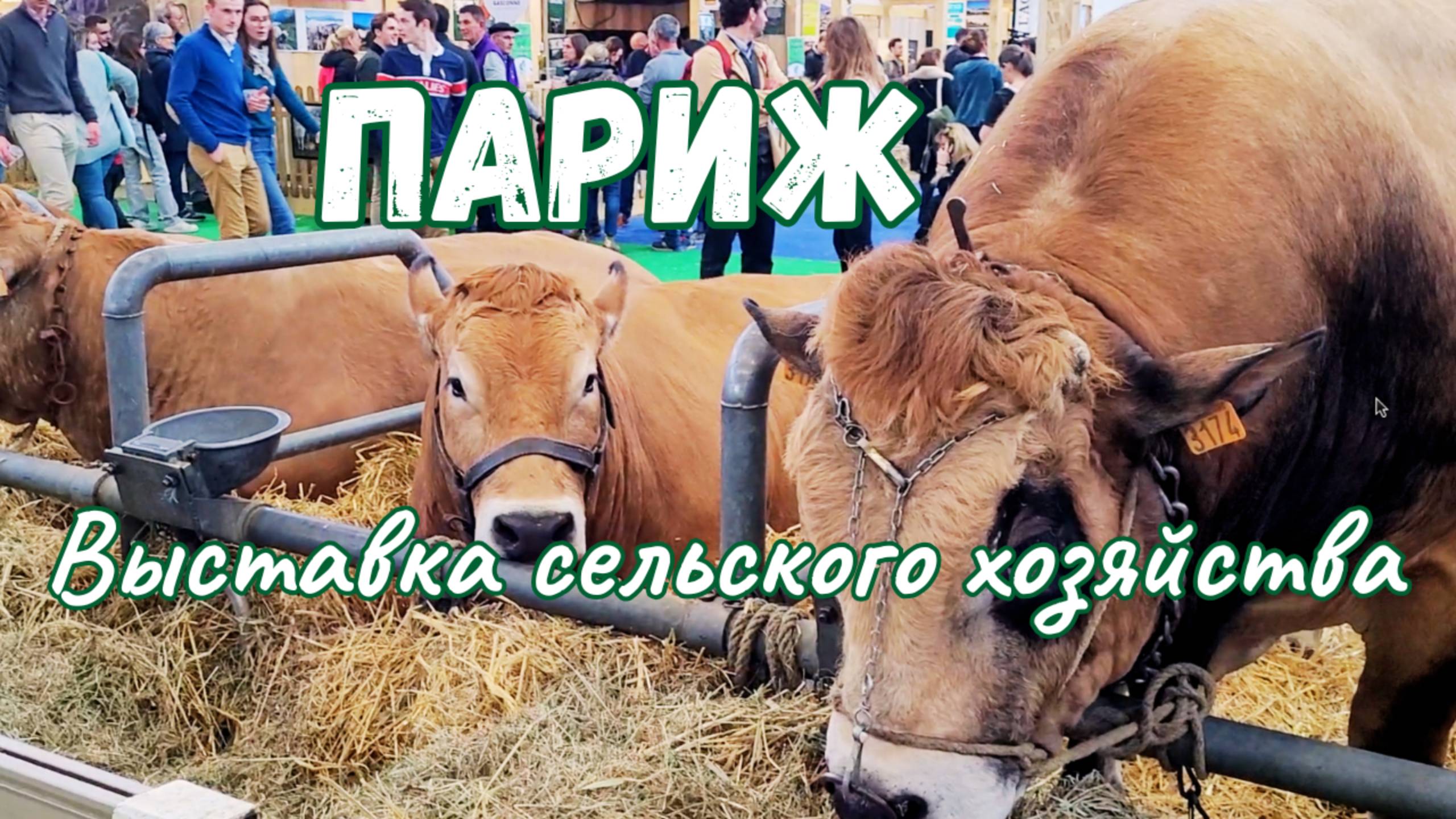 Париж. Сельскохозяйственная выставка 2024 смотреть онлайн