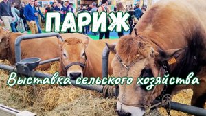 Париж. Сельскохозяйственная выставка 2024