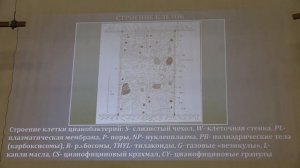 Гололобова М. А. - Низшие растения - 3. Жизненные циклы водорослей. Цианобактерии
