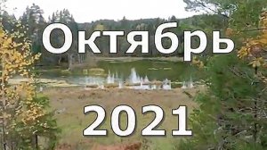 Пруд в Суводи  Тёплое озеро  Кукарка Советский район Вятка