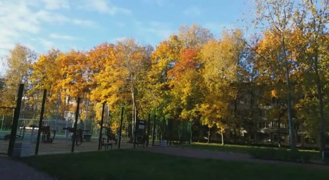 Золотая осень 2024г