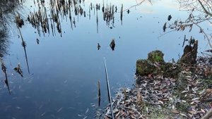 Что будет если жить в Чернобыле в 2024_ Строю дом под землей. Готовлю сталкер бургеры