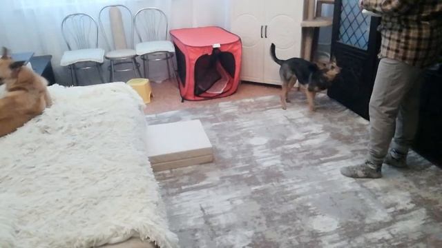 шейпинг