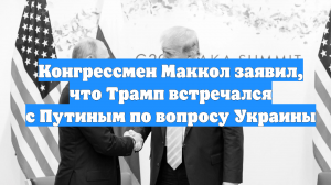 Конгрессмен Маккол заявил, что Трамп встречался с Путиным по вопросу Украины