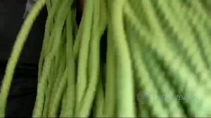 Райский сад восхищает