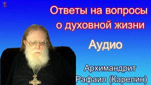 Ответы на вопросы о духовной жизни. Аудио Архимандрит Рафаил Карелин.