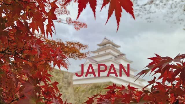 Япония в сезон кленов. Ноябрь 2024 смотреть онлайн