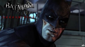 Batman  Arkham City►Прохождение без комментариев.#11