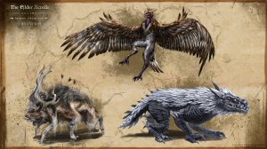 The Elder Scrolls Online часть 1: "Альдмерский доминион". (создание персонажа)