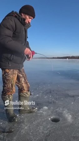 ТОЛЬКО ОПУСТИЛ СРАЗУ УДАР.