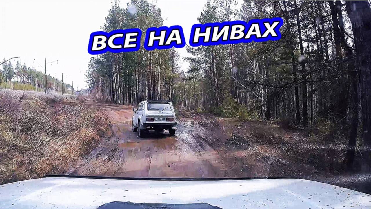 НИВЫ ВЫТЕСНЯЮТ ИНОВЕДРА. КУДА ДЕЛИСЬ КРУТЫЕ АВТО?