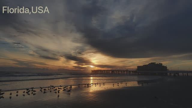 Новый год во Флориде (Florida, USA, january2021) смотреть онлайн