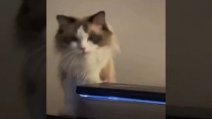 Победил игровую зависимость