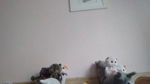 Наша семья 👨👩👧 : Лили🐱, Лёли🐱, Басик 🐱, Барсика🐱, колбаски🐱, колбасы🐱, уточки🐱 и меня 🩷