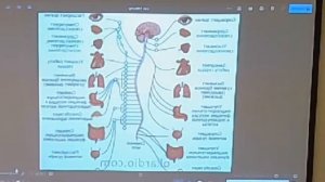 А соль то сильнее смерти!)