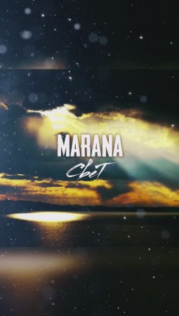 MARANA_"СВЕТ"_Shorts