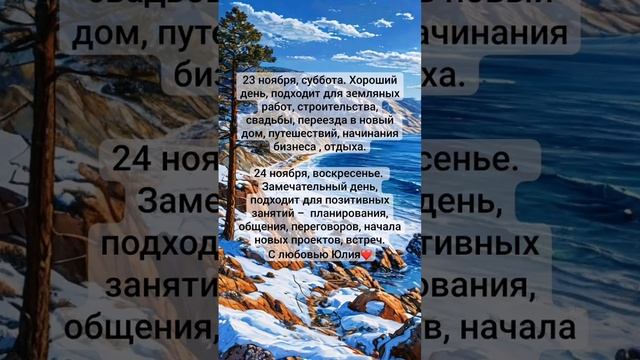 VID_20241123_154434_793.mp4