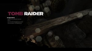 Tomb Raider Definitive Edition