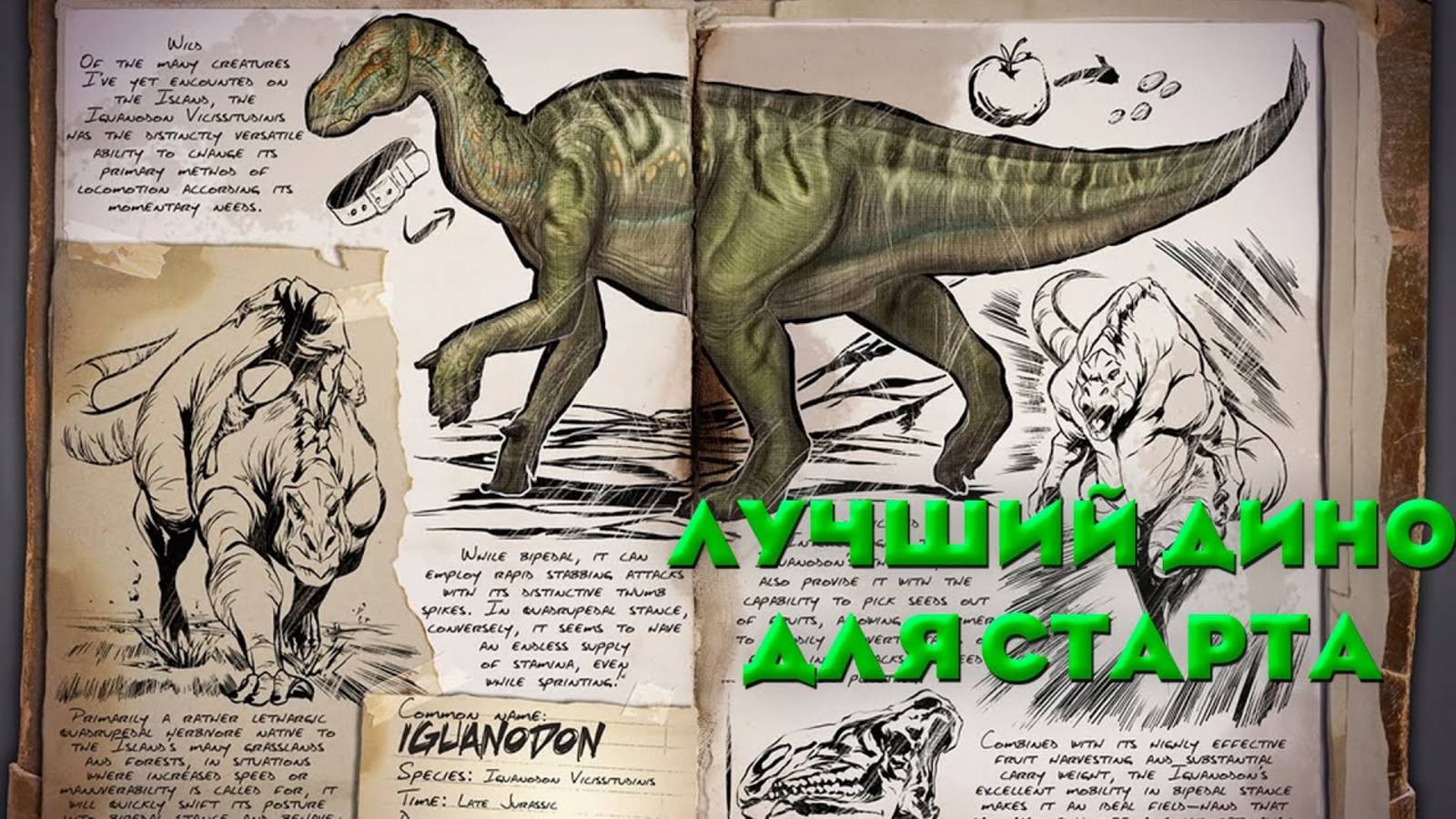 Лучший дино для старта ARK Survival Evolved!