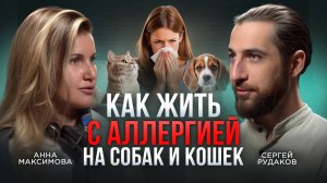 Аллергия на собак и кошек: симптомы и лечение