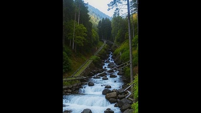 Шум Лесного Ручья и Пение Птиц .Звуки Природы смотреть онлайн