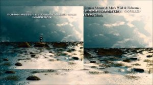 Roman Messer & Mark Wild & Eldream - Immersion (Extended Mix)