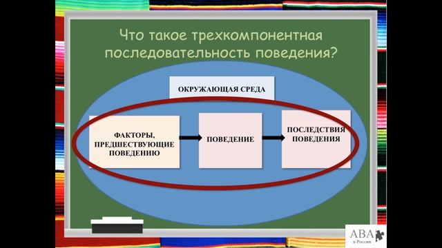 Что такое трехкомпонентная последовательность поведения?