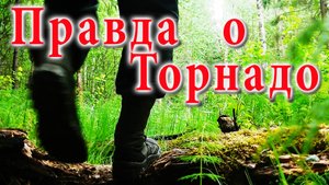 Вся ПРАВДА. Стоит ли покупать летние берцы ТОРНАДО 205  Реальный ОТЗЫВ после сезона носки.