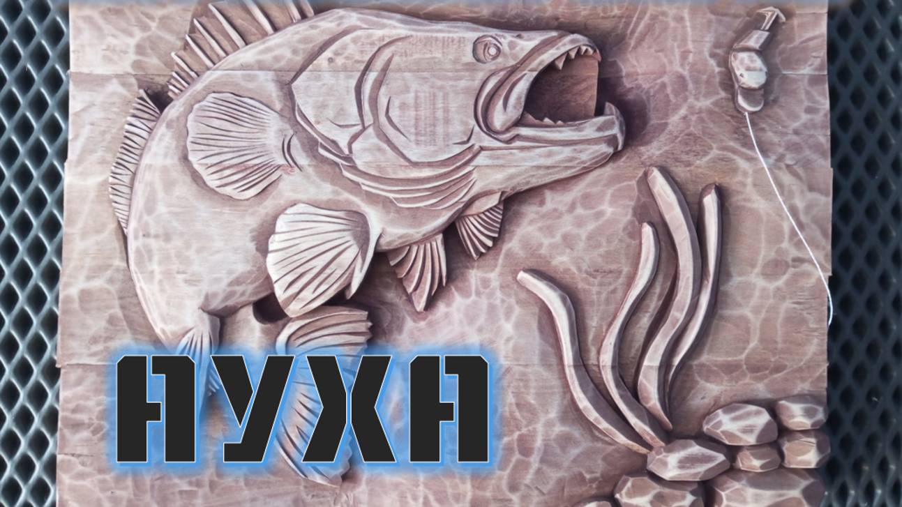 АУХА - ПРЕДСТАВИТЕЛЬ ПРЕСНОВОДНЫХ ХИЩНЫХ РЫБ, КОТОРЫЙ ВОДИТСЯ ТОЛЬКО В БАССЕЙНЕ РЕКИ АМУР