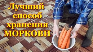 Лучший способ хранения МОРКОВИ