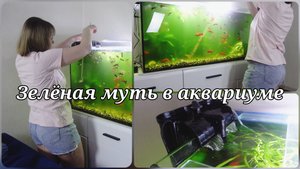 ЗЕЛЕНАЯ ВОДА В АКВАРИУМЕ 💧 АКВАРИУМ НА 200 ЛИТРОВ 💧 ЧТО ДЕЛАТЬ?