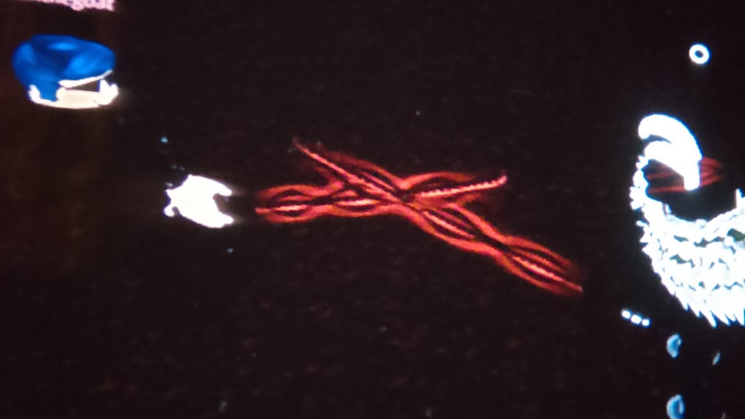 23-11-2024 смотреть онлайн