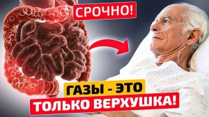 ВОТ КАК ЛЕГКО ГАЗЫ УБРАТЬ! Жаль не знала раньше! Метеоризм - причины, последствия и лечение