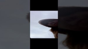 прогулка в магаз