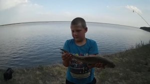 Обь, рыбалочка на сазнов, 2023