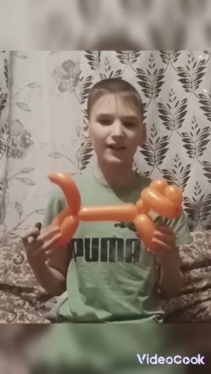 как сделать кота из шарика