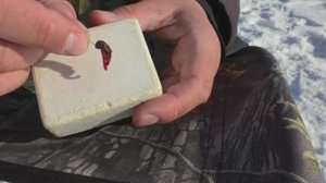 КАК НАСАДИТЬ МОТЫЛЯ НА КРЮЧОК. ЛОВЛИ РЫБЫ НА МОРМЫШКУ СО ЛЬДА