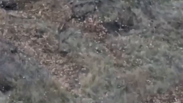 война дронов