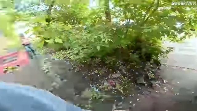 SanekMIX и Вадим Вадимыч убегают от злого бородача. Но под тему погони Смешариков смотреть онлайн