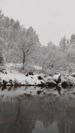 Теплый ноябрь (3) - зима на пороге!