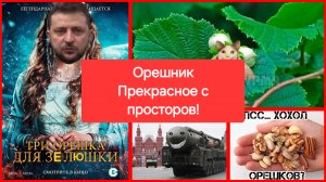 Орешник. Прекрасное с просторов!😁Комментарии пользователей