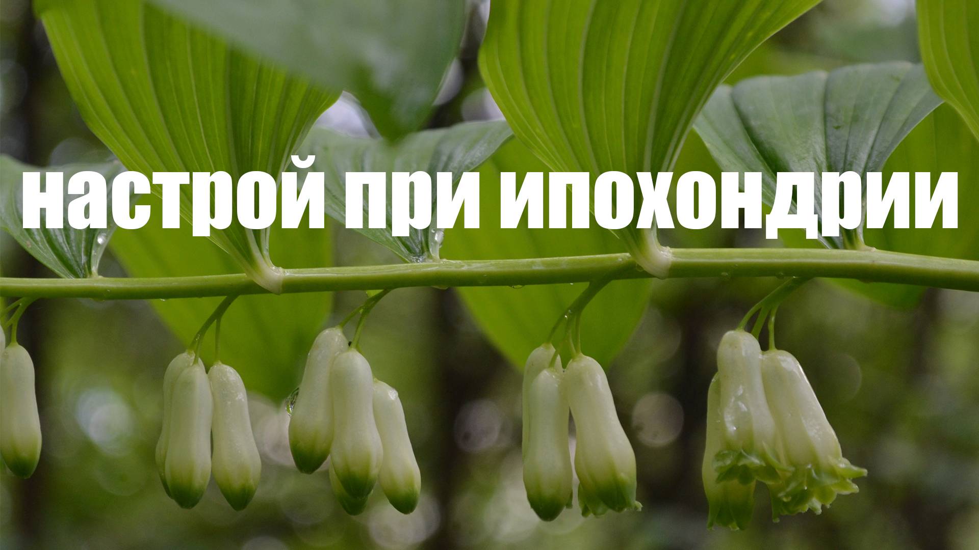 Настрой при ипохондрии (по Сытину)