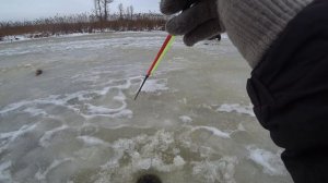 С ТАКИМ КЛЕВОМ ЖЕРЛИЦЫ И ЩУКИ НЕ НУЖНЫ