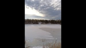 очень красивая природа